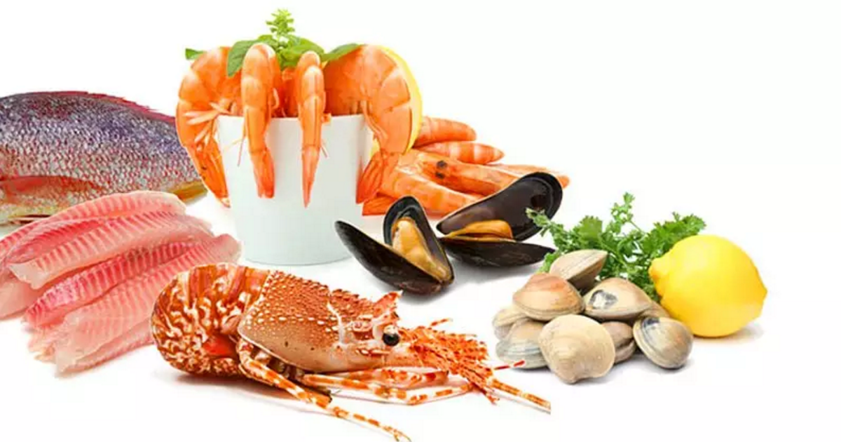 Fish product. Морепродукты. Рыбные продукты для детей. Морепродукты на белом фоне. Мясные и рыбные продукты.